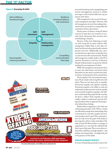 Cattails (384x533), Png Download