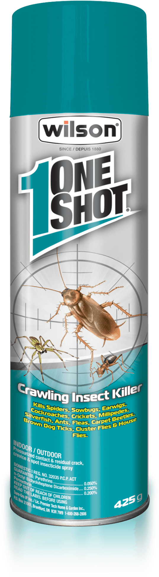 Arachnicide (2160x2160), Png Download
