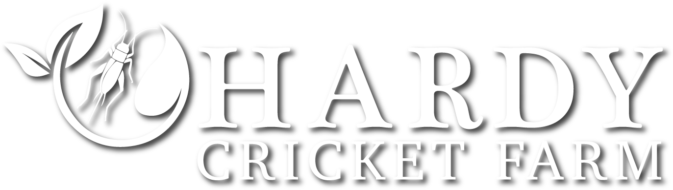Cricket (1380x450), Png Download
