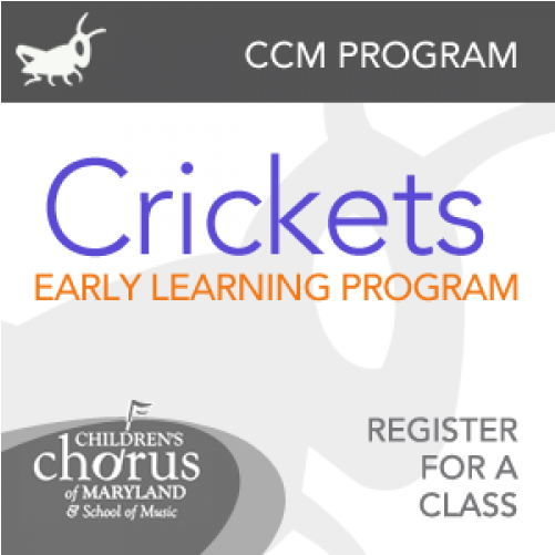 Cricket (800x500), Png Download