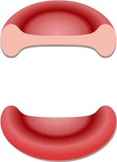Red Blood Cell (1200x630), Png Download