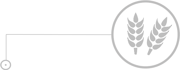 Icon Agricultural Drones For Sale Skynex Industrial - Agriculture Farming Wheat Style 6075 Diy Plastic Stencil (1008x250), Png Download