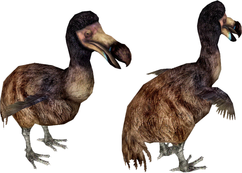 Dodo Bird Running - Dodo (963x688), Png Download