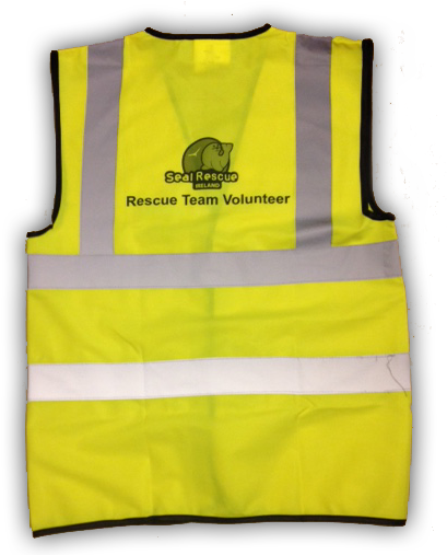 2015 11 14 Vest Back Transp - Vest (424x516), Png Download