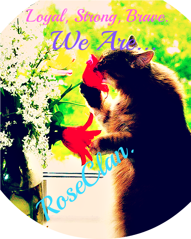 Red Roses Cute Cats - Cat (654x960), Png Download