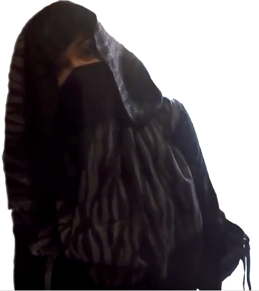 Anele Geisha Png - Beak (827x931), Png Download