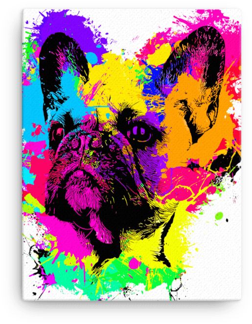 French Bulldog Colorful Splash Paint Canvas - Painting (1000x1000), Png Download