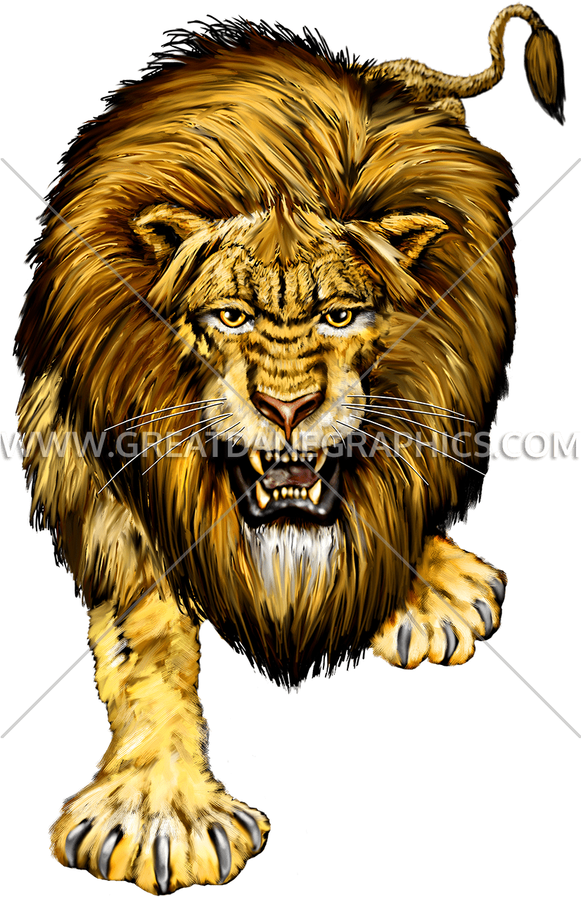 Head Lion Png (825x1303), Png Download