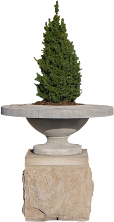 A Small Evergreen In A Planter That Looks Like It Wants - Christmas Tree (450x450), Png Download