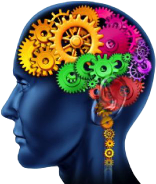 Demo - Economic Man (336x372), Png Download