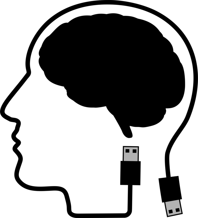 Human Brain Binaural Beats Skull Head - Голова Пнг (681x750), Png Download