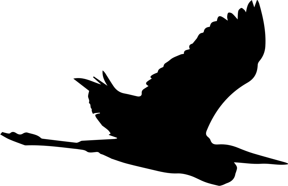 Bird Heron Flying Shape Comments - Garza Silueta (981x634), Png Download