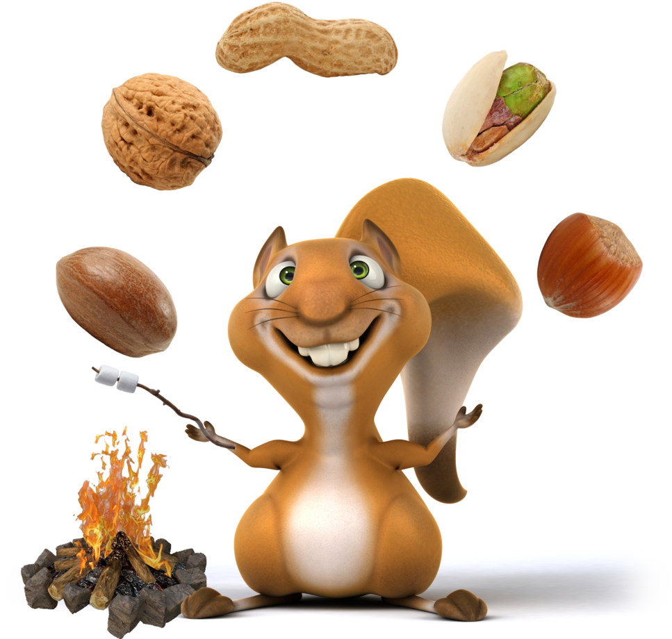 Campfire Clipart Hot Dog - Squirrel (1000x976), Png Download