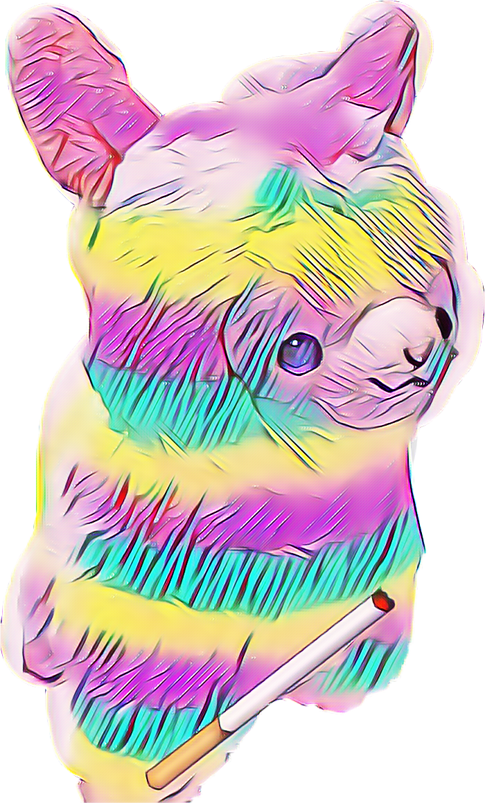 Every Time I Took A Puff I Felt A Sense Of Peace And - Kitten (700x1160), Png Download