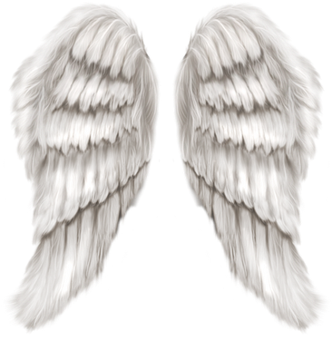 Tumblr Inline Mpox14pgyr1qz4rgp - Angel Wings (387x400), Png Download