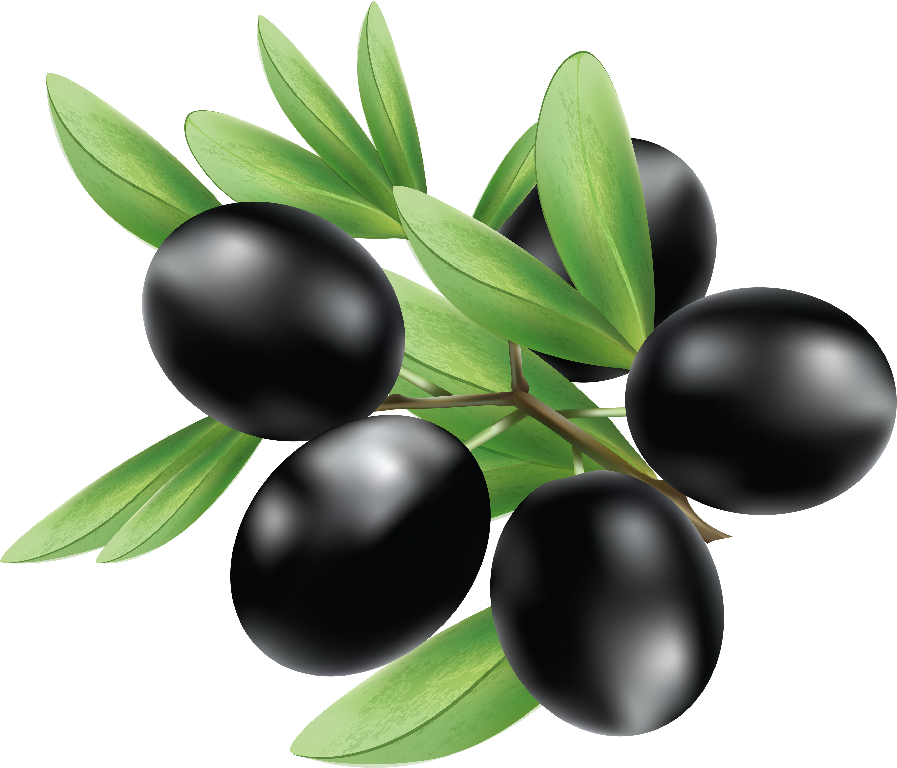 Black Olives Png - Olives Png (3519x3014), Png Download
