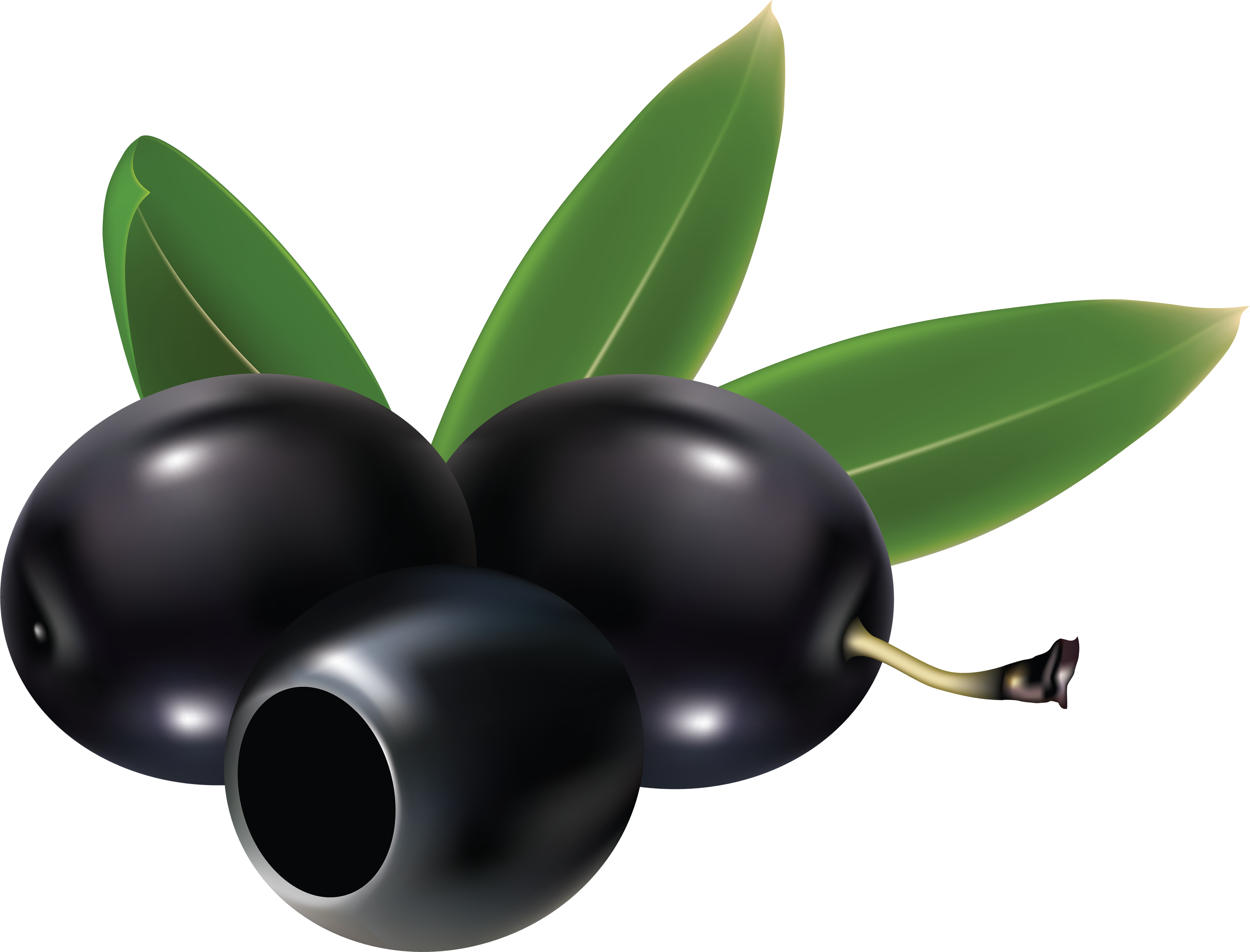 Black Olives Png (3510x2675), Png Download