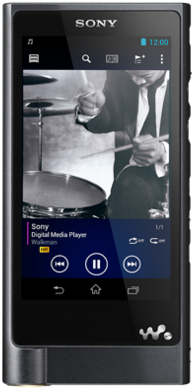 Sony Nwz-zx2 Walkman - Sony 128 Gb Walkman Hi-res Digital Music Player (1000x391), Png Download
