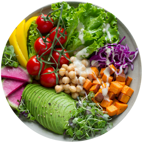 Vegen Vegetarian Nutritionist - Vegatariano E Intestino (500x500), Png Download