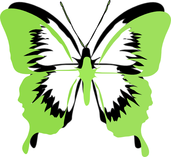 Pink And Green Butterfly Clipart (600x549), Png Download