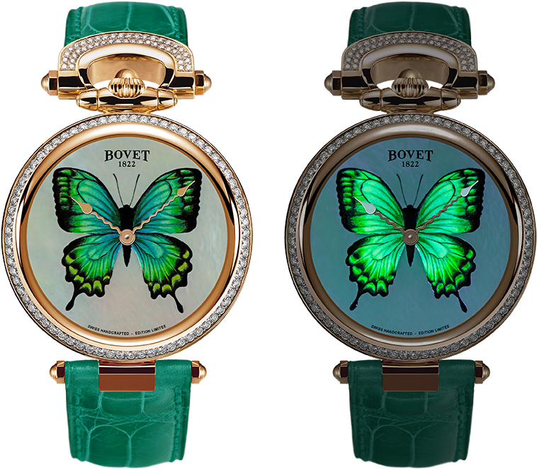Bovet Watch Chateau De Motier Miniature Painting Butterfly - Bovet Amadeo Fleurier 39mm Pansy Ladies Watch (800x800), Png Download
