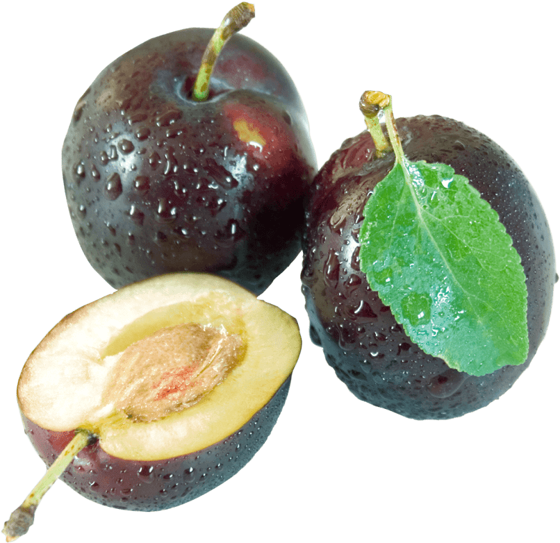 Download Plum Png Image - Prunus Sect. Prunus (500x478), Png Download