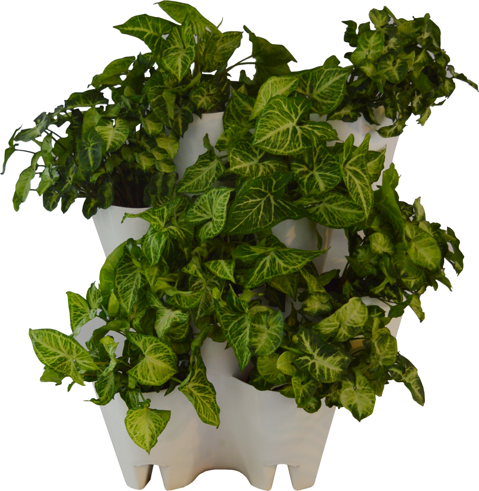 Green Wall From The Box - Flowerpot (1863x1913), Png Download