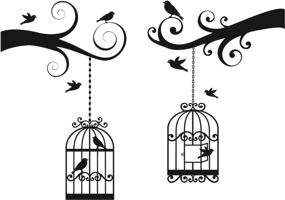 Jaulas De Pajaros - Bird Cage Wall Design (600x600), Png Download