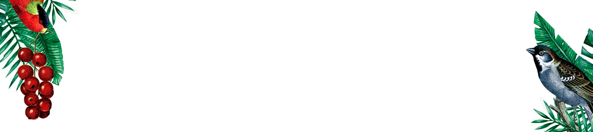 Bg Vinos Pajaros - Vintage Bird (1920x428), Png Download