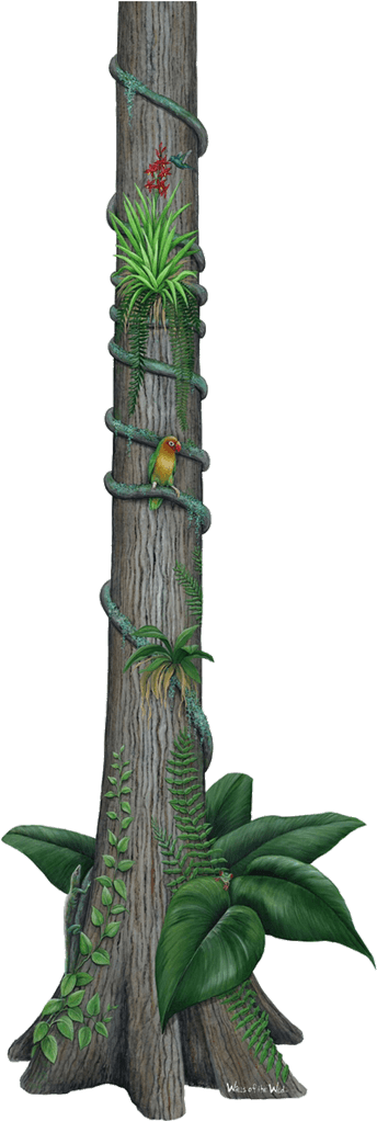 Rainforest Tree Jungle Wall Decal Sticker - Walls Of The Wild Jungle Wildlife Collection #2 Mural (1024x1024), Png Download