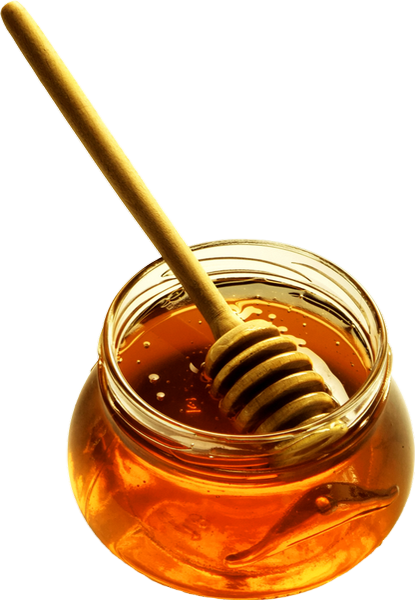 Honey And Cinnamon Png (415x600), Png Download