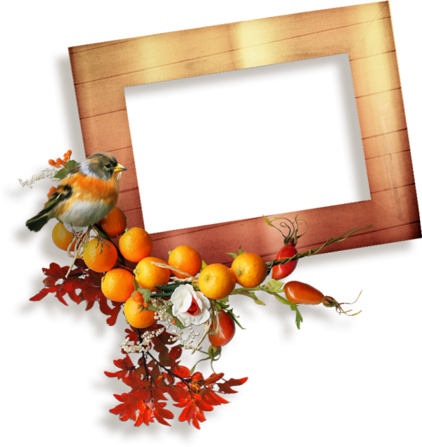 Cadre D'automne - European Robin (600x636), Png Download