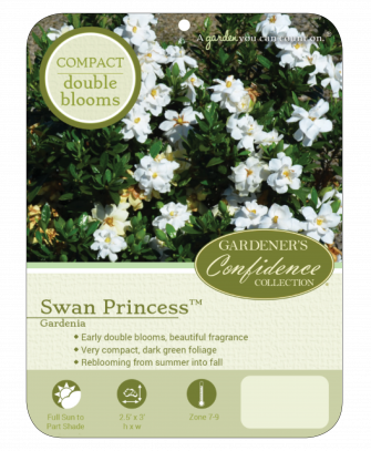 Plant Profile - The Swan Princess (335x407), Png Download