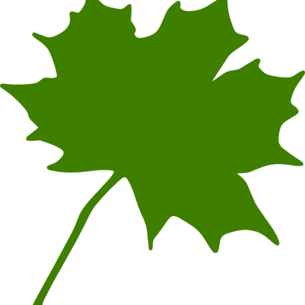 Maple Leaf Clipart Green Maple Leaf Clipart Clipart - Canadian Leaf Clip Art Png (1024x1024), Png Download
