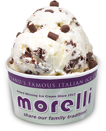 Belgian Chocolate Chip - Belgium Chocolate Chip Ice Cream (450x450), Png Download