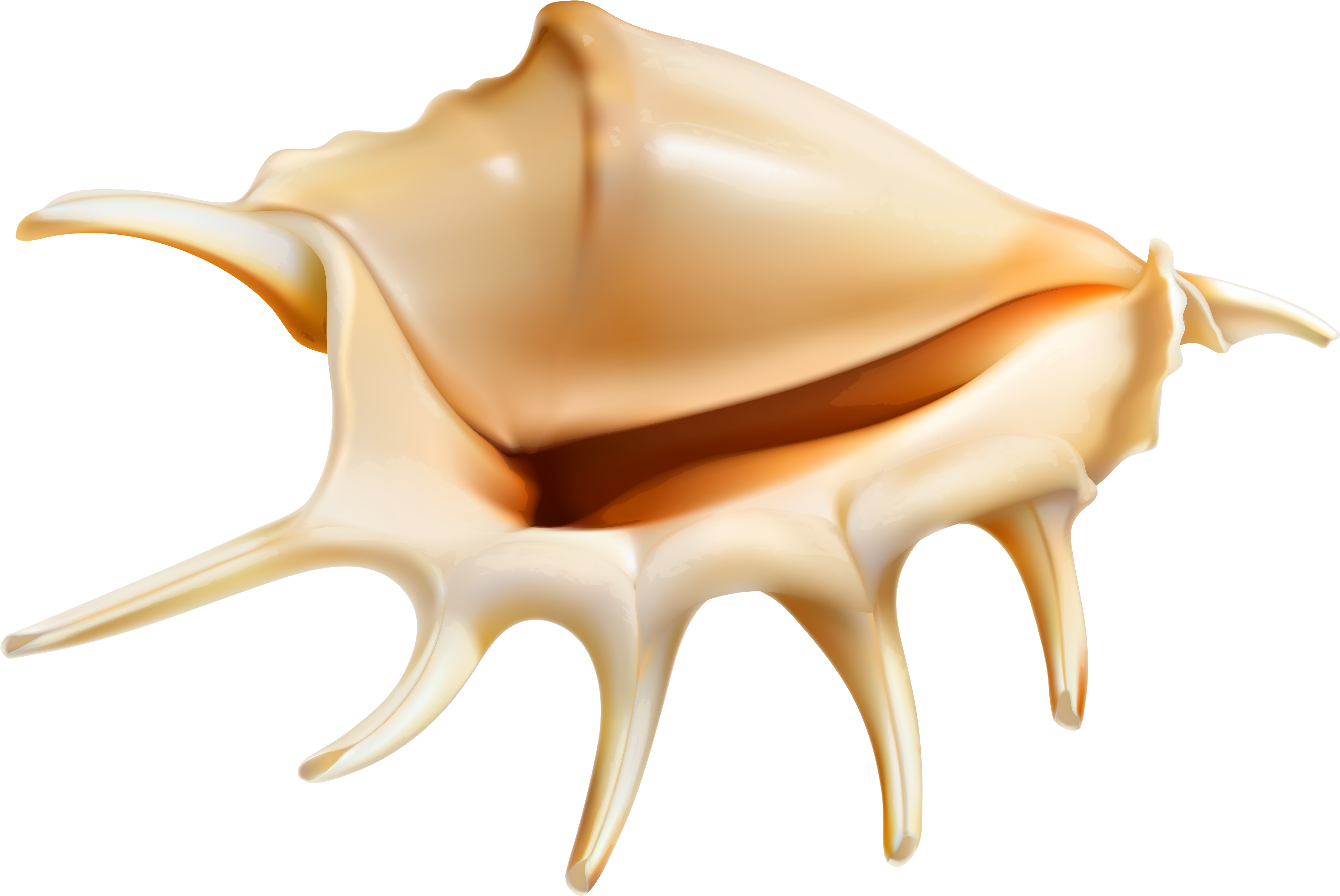Clip Art (5000x3370), Png Download