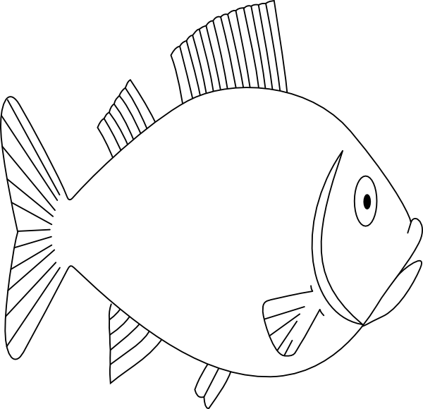 Fish,animal,swimming,sea Life,outline,free Vector Graphics - Bangus Drawing Easy (500x482), Png Download