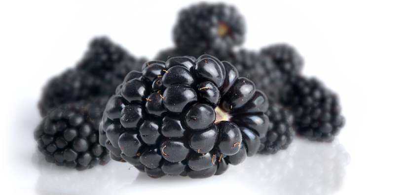 Blackberries - Blackberry (1024x395), Png Download