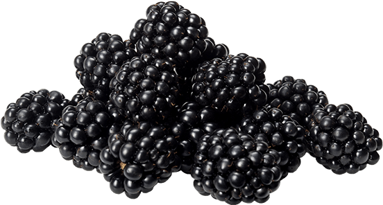 Blackberries - Blackberry (600x500), Png Download