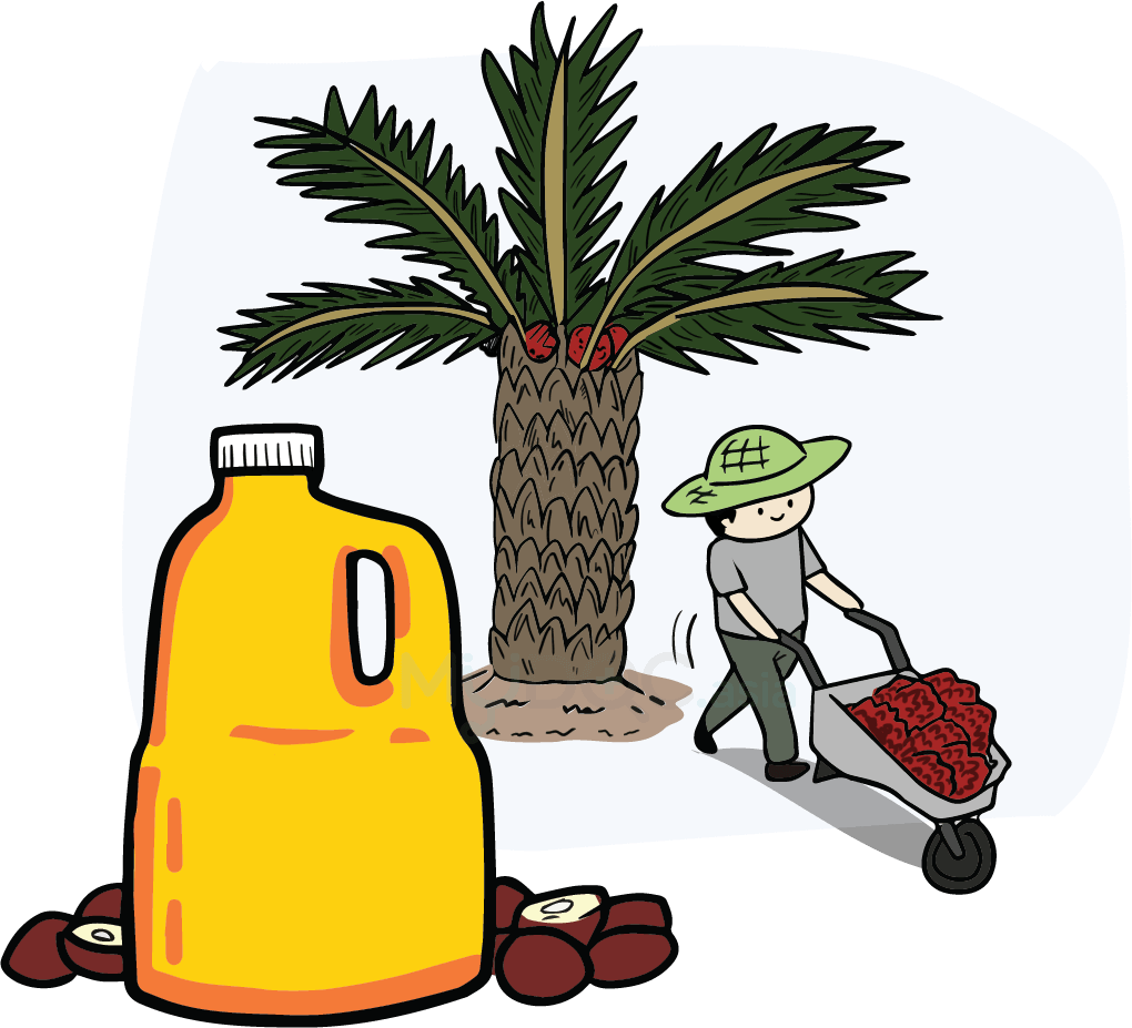 Palm Oil Tree Png Download - Palm Oil Cartoon Png (1020x927), Png Download