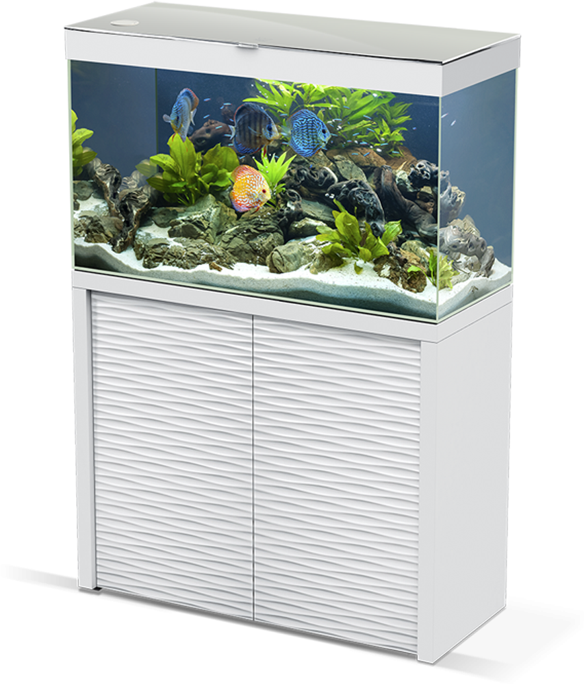 Emotion Nature One (1050x1000), Png Download