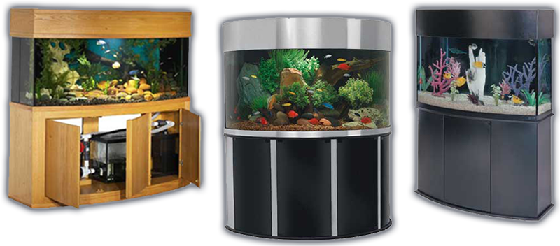 Reef Ready, Saltwater And Freshwater Aquariums - Aquarium (800x352), Png Download
