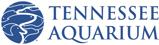 Tennessee College Of Applied Technology Logo (625x468), Png Download