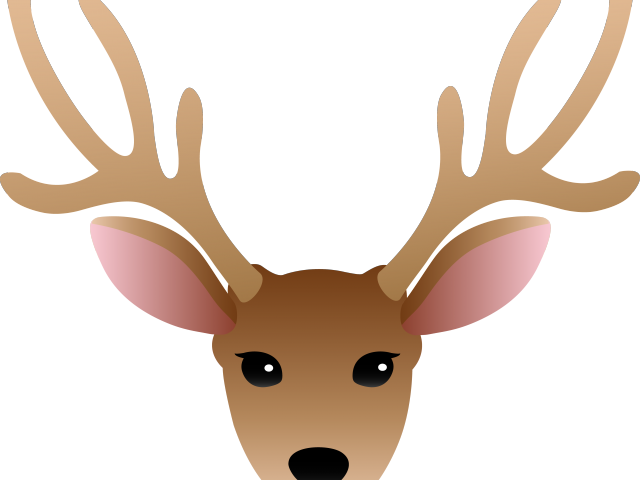 Christmas Drawing Reindeer Face (640x480), Png Download