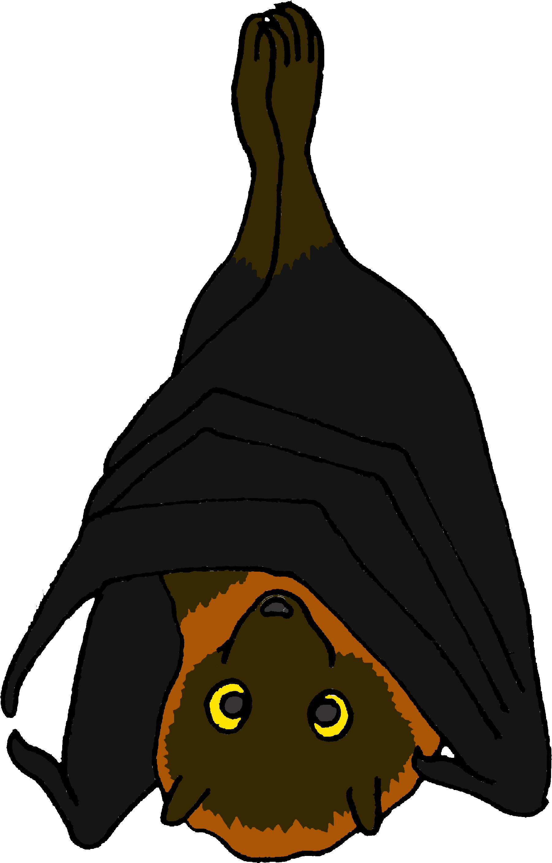 Cartoon Rodrigues Fruit Bat - Fruit Bats Cartoon (3000x3000), Png Download