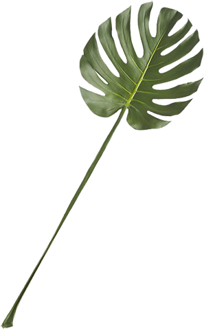 Cb2 (350x478), Png Download