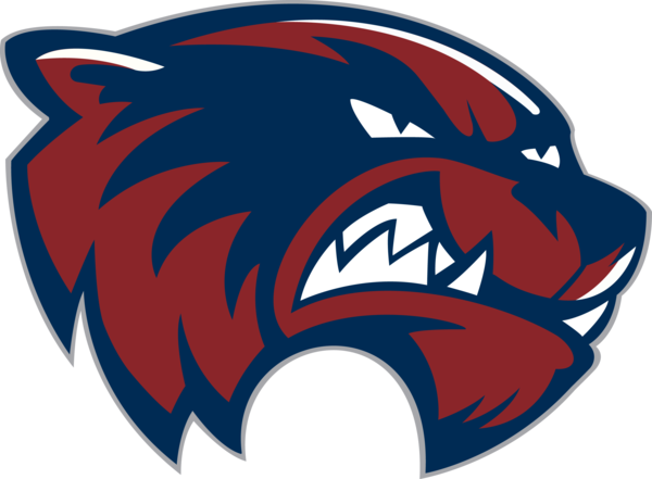 Woodstock High School Mascot (600x441), Png Download
