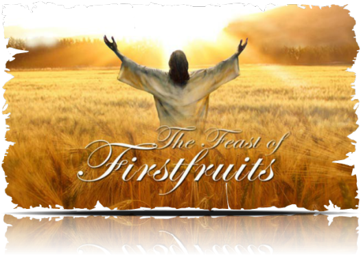 Jesus Feast Of Firstfruit - Feast Of First Fruits (535x379), Png Download