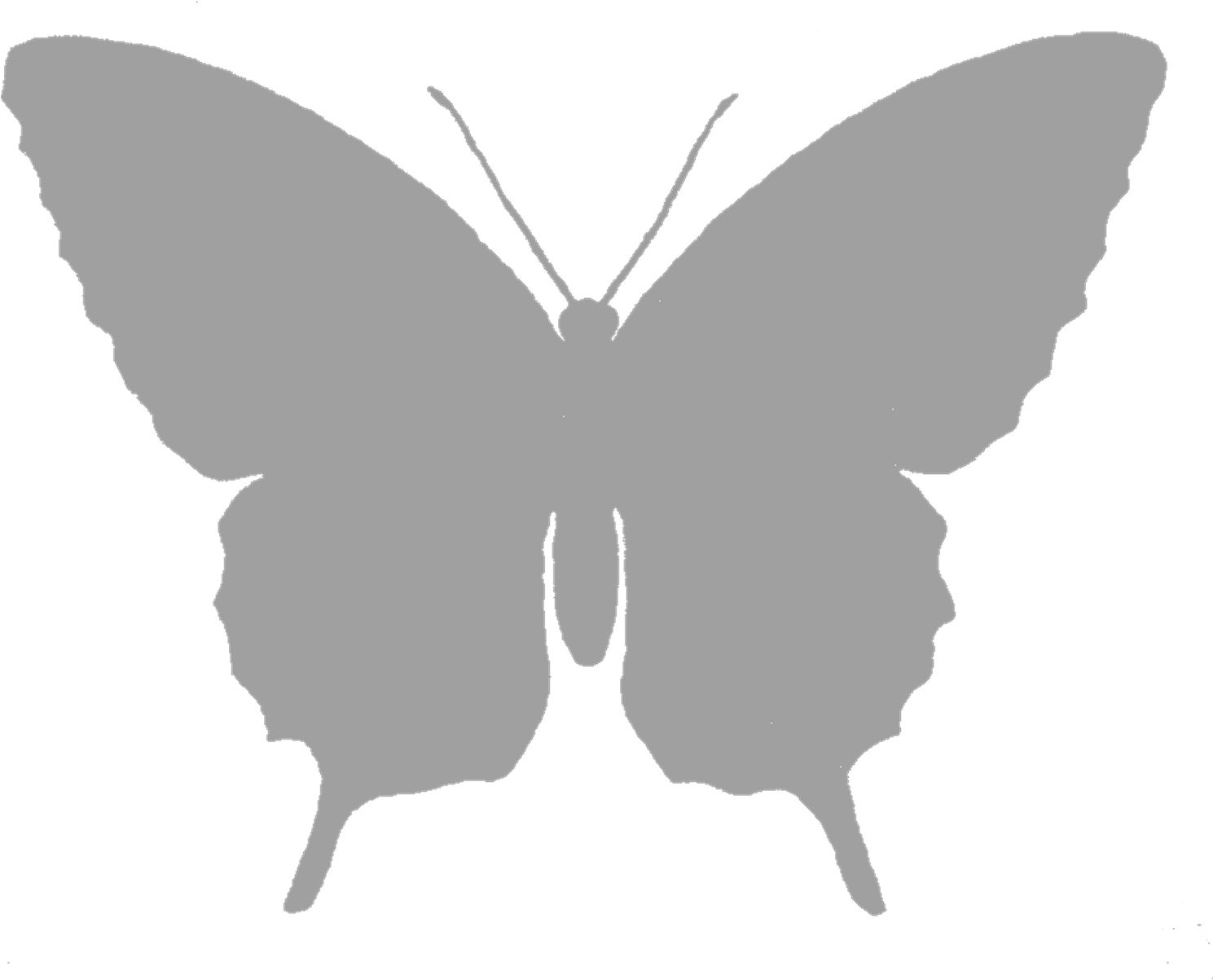 Grayscale Butterfly Silhouette - Butterfly Silhouette Free Png (1600x1274), Png Download
