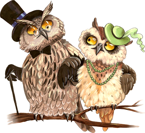 Posh Owl Couple - Sweethome Mrs And Mr Owls Cross Stitch Kits,egypt Cotton,14ct, (472x432), Png Download